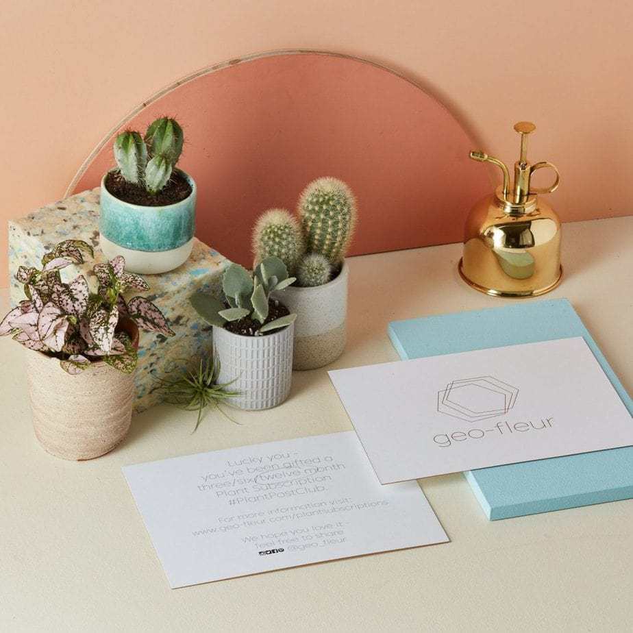 geo fleur subscription