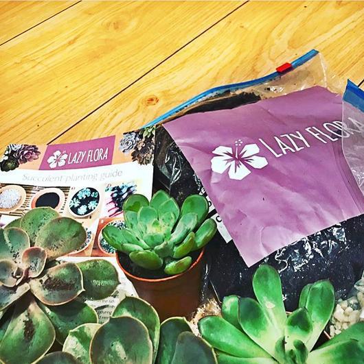 lazyflora subscription