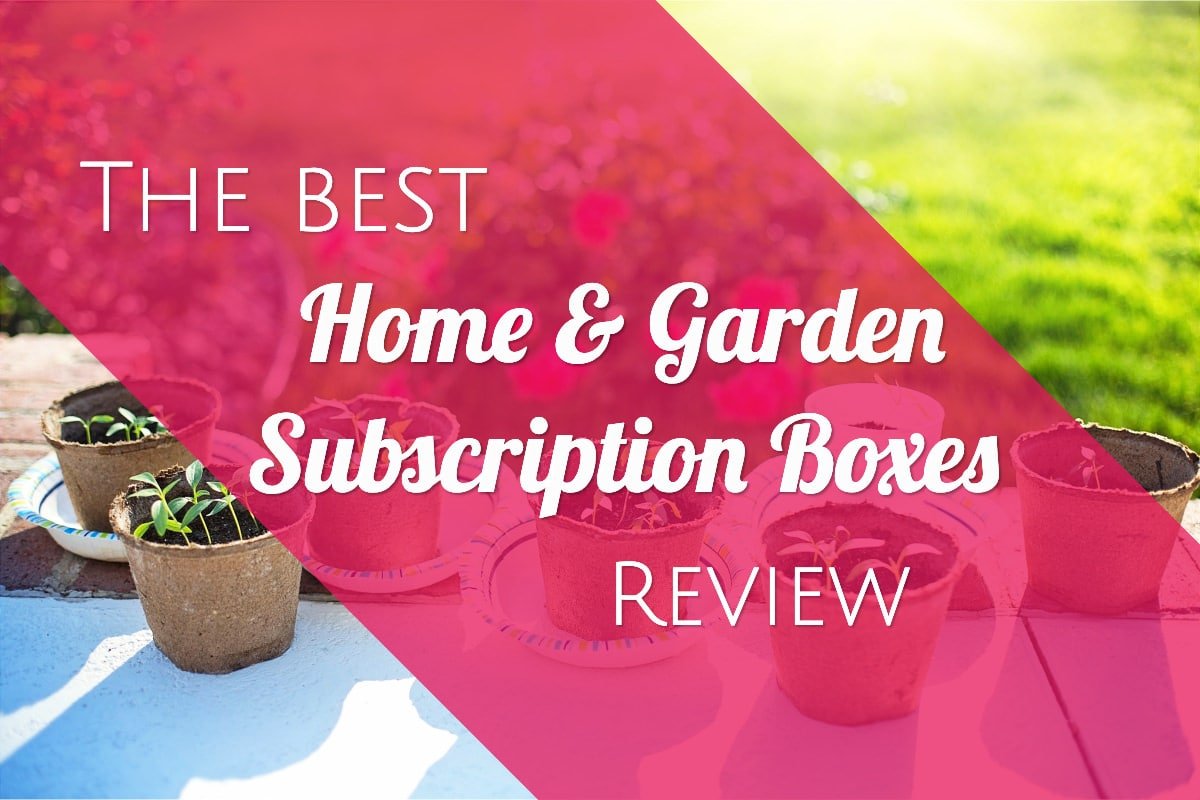 the best gardening subscription boxes review