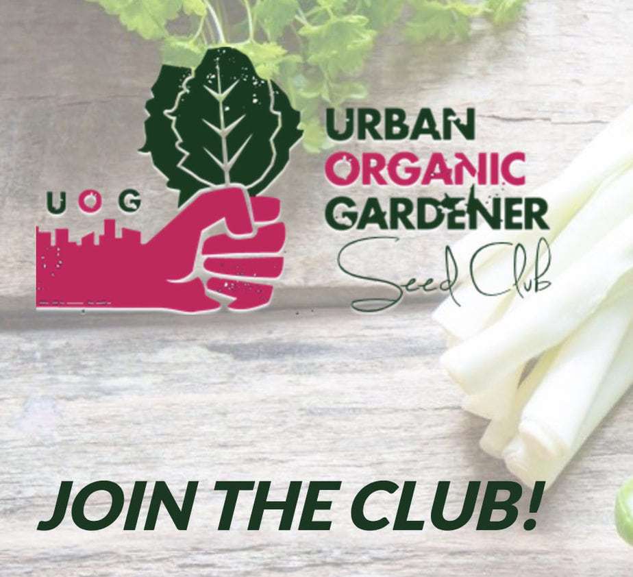 urban gardener subscription