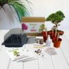 Bonsai kit lifestyle background