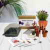 Edible Flowers - Mrs Henri’s Plant Growing Kit 1 Edible flowers lifestyle background