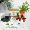 Salads - Mrs Henri’s Plant Growing Kit 1 Salads lifestyle background