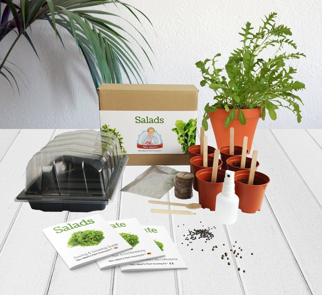 Salads - Mrs Henri’s Plant Growing Kit 3 Salads - Mrs Henri’s Plant Growing Kit