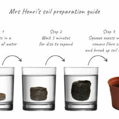 Salads - Mrs Henri’s Plant Growing Kit 7 Soil preparation guide