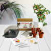 Chili Peppers - Mrs Henri's Plant Growing Kit 2 chili lifestyle background