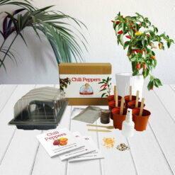 Chili Peppers - Mrs Henri's Plant Growing Kit