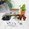 Cocktail Flowers - Mrs Henri’s Plant Growing Kit