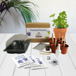 Cocktail Flowers - Mrs Henri’s Plant Growing Kit