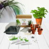 Herbs - Mrs Henri's Plant Growing Kit 2 herbs lifestyle background