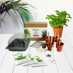 Herbs - Mrs Henri's Plant Growing Kit
