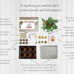 Chili Peppers - Mrs Henri's Plant Growing Kit 6 top down kit chili