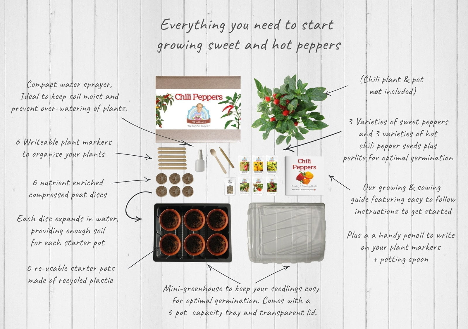 Chili Peppers - Mrs Henri's Plant Growing Kit 4 Chili Peppers - Mrs Henri's Plant Growing Kit - Image 2