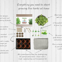 top down kit herbs