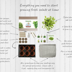Salads - Mrs Henri’s Plant Growing Kit 6 top down kit salads