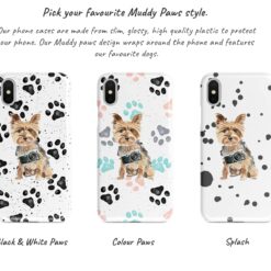 Adventure dogs muddy yorkshire terrier bw paws front view transparent variations