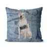 American Staffordshire terrier dog Inspired Denim Style Throw Pillow Cushion - Travel collection 2 Adventure is out there cushion American Staffordshire terrier Faded Ephemera Denim front view