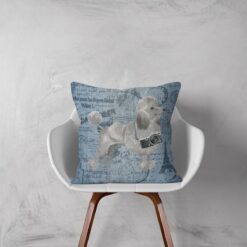 Adventure is out there cushion Grey Poodle Faded Ephemera Denim white chair