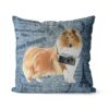 Rough Collie dog Inspired Denim Style Throw Pillow Cushion - Travel collection 1 Adventure is out there cushion Rough Collie Faded Ephemera Denim front view