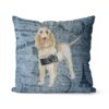 Adventure is out there cushion Spinone Italiano Faded Ephemera Denim front view
