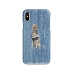 adventure dogs case denim weimaraner gently faded denim front view