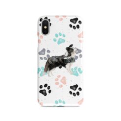 adventure dogs case muddy border collie colour paws front view