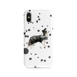 adventure dogs case muddy border collie splash front view