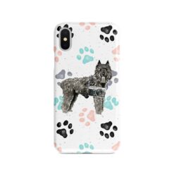 adventure dogs case muddy bouvier des flandres colour paws front view