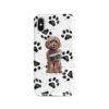 adventure dogs case muddy brown cockapoo bw paws front view