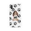 adventure dogs case muddy brown cocker spaniel bw paws front view
