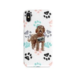 adventure dogs case muddy labradoodle colour paws front view