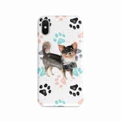adventure dogs case muddy long haired chihuahua colour paws front view