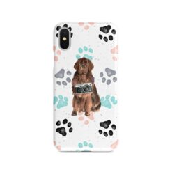adventure dogs case muddy newfoundland colour paws front view