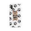adventure dogs case muddy norfolk terrier bw paws front view