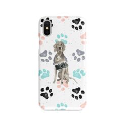 adventure dogs case muddy weimaraner colour paws front view