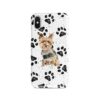 adventure dogs case muddy yorkshire terrier bw paws front view