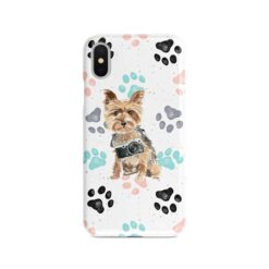 adventure dogs case muddy yorkshire terrier colour paws front view