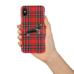 adventure dogs tartan case black tan dachshund royal stewart in hand