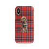 adventure dogs tartan case brown cockapoo royal stewart front view