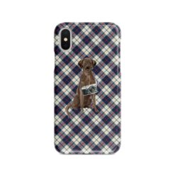 adventure dogs tartan case brown labrador retriever blue beige front view