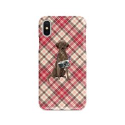 adventure dogs tartan case brown labrador retriever pink front view