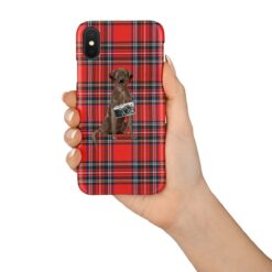 adventure dogs tartan case brown labrador retriever royal stewart in hand