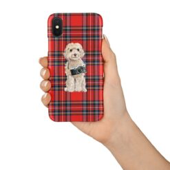adventure dogs tartan case champagne cockapoo royal stewart in hand