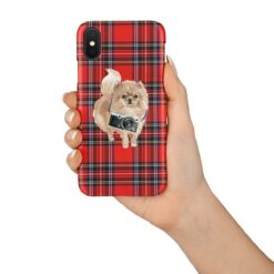 adventure dogs tartan case pomeranian royal stewart in hand
