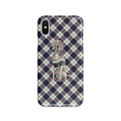 adventure dogs tartan case weimaraner blue beige front view