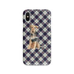 adventure dogs tartan case welsh terrier blue beige front view