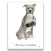 adventure is out there portrait canvas american staffordshire terrier grey print front view