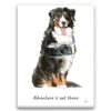 Adventure is out there Bernese Mountain Dog dog canvas print illustration. Pre-stretched wall art ready to hang 1 adventure is out there portrait canvas bernese mountain dog print front view