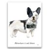 adventure is out there portrait canvas blackwhite french bulldog print front view