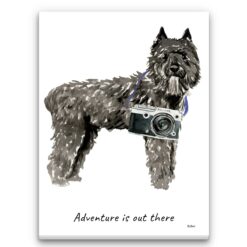 Adventure is out there Bouvier des Flandres dog canvas print illustration. Pre-stretched wall art ready to hang